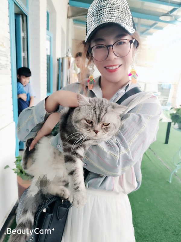 小黑猫的第一张照片--青岛相亲服务中心