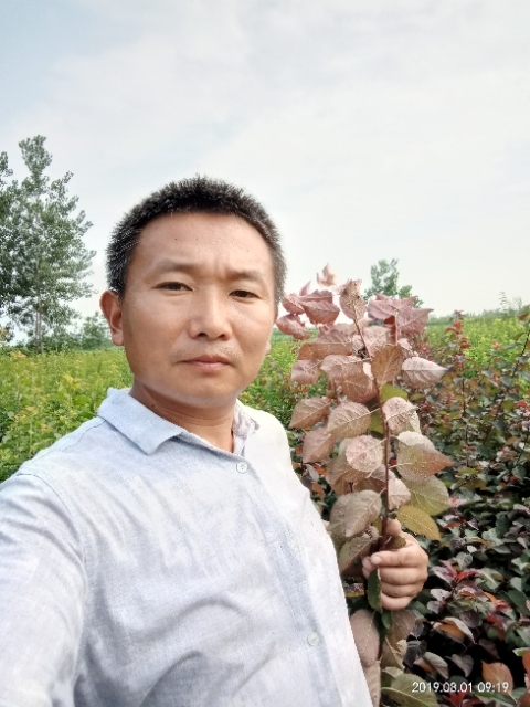 孩子爸的第一张照片--青岛相亲服务中心